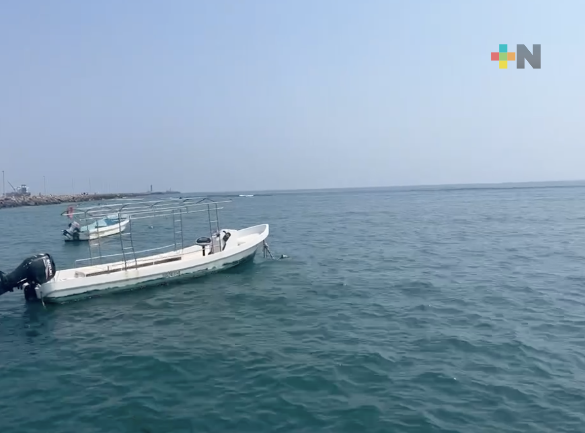 Predomina ambiente muy caluroso con rachas de viento del noreste, en la entidad